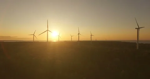 Aerial view of wind generators in the evening sky on the field. Video stock 87846778