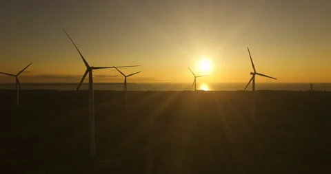 Aerial view of wind generators in the evening sky on the field. Video stock 87887848