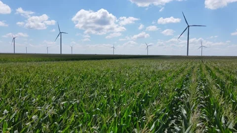 Aerial view of wind turbines in corn field Stock Footage 148728200