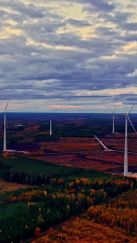 Aerial View of Wind Turbines Over Autumn Forest and Fields at Dusk With Cloudy Stock Footage 338423092