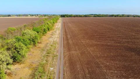 Aerial view of Windbreak between the fields. Stock Photos