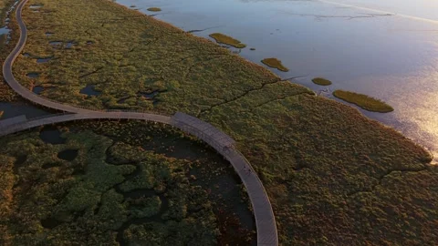 Aerial view of winding boardwalk through lush wetlands at golden hour Stock Footage 345223596