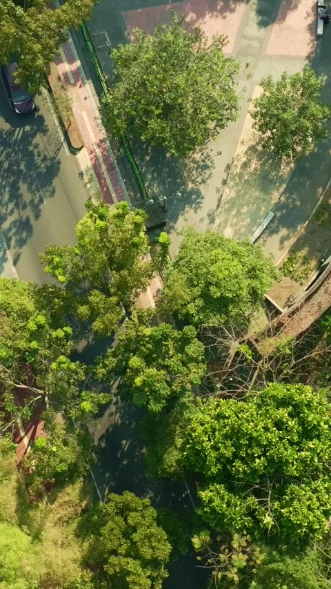 Aerial view of winding canal through lush Yogyakarta urban park Stock Footage 342589788