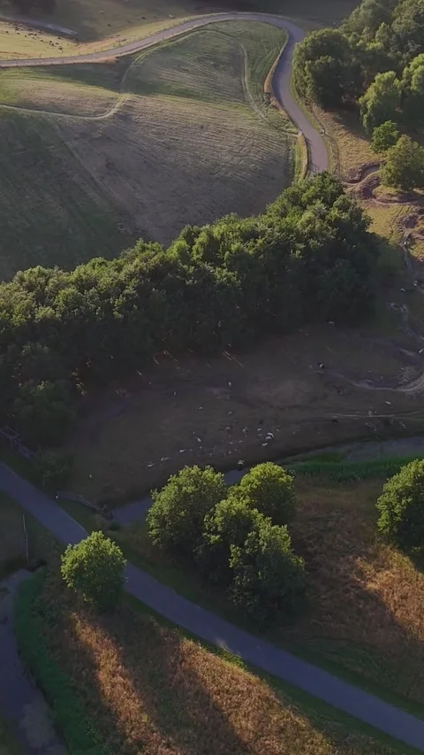 Aerial view of a winding country road at sunset Stock Footage 327109953