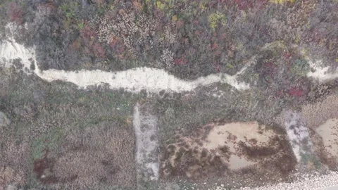 Aerial view of winding forest path surrounded by colorful autumn trees Stock Footage 321389411