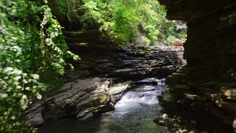 Aerial view of a winding forest river in Paradise, Tennessee, cutting through Video stock 340148329