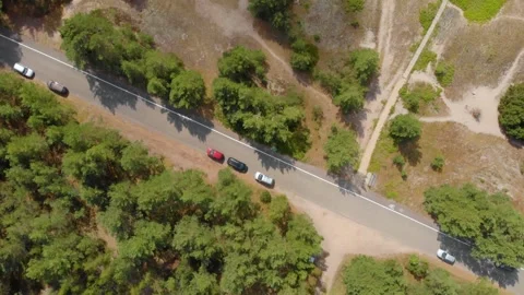 Aerial View of Winding Forest Road with Cars in Lithuania Stock Footage 321752832