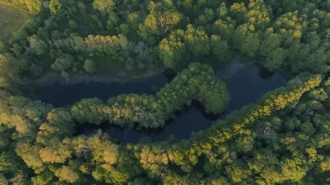 Aerial View Of Winding Forest Stream Drone Ascending Lummelunda Gotland Stock Footage 331082685