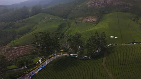 Aerial View of Winding Gap Road Through Tea Plantations in Munnar, India Stockbeeldmateriaal 335134412