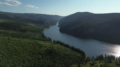 Aerial View of Winding Lake Through Forested Hills - Beliș-Fântânele, Romania Stock Footage 345512620