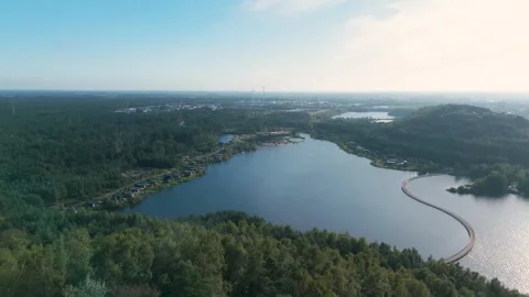 Aerial view of winding lakeside path in tranquil forest setting Video stock 293942746