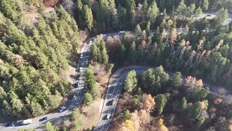 Aerial view of a winding mountain road cutting through dense evergreen forest, Stock Footage 329237241