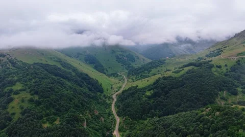 Aerial View of Winding Mountain Road Through Misty Green Forest Stock Footage 339413902