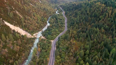 Aerial View of Winding Mountain Road Beside a Rushing River in Lush Forest Stock Footage 342222063