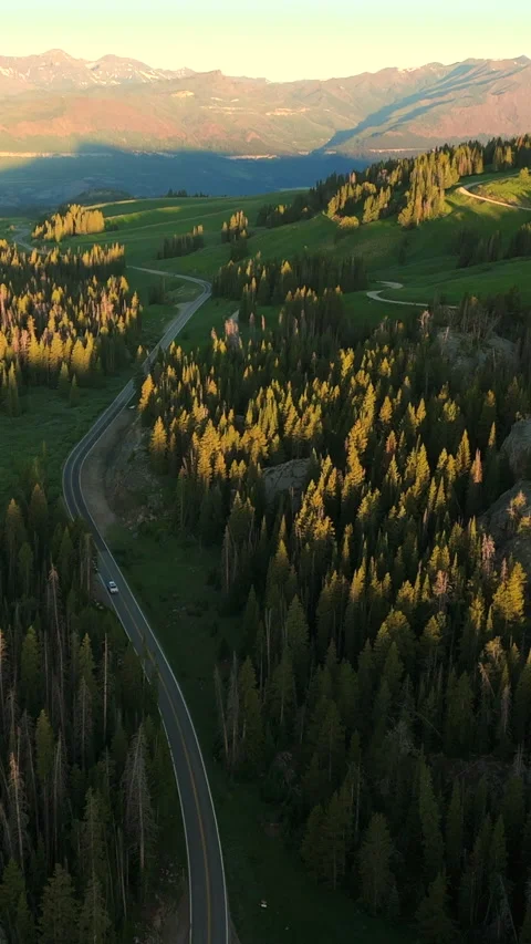 Aerial View of Winding Mountain Road Through Montana Forest at Golden Hour. Vídeos de archivo 342587254