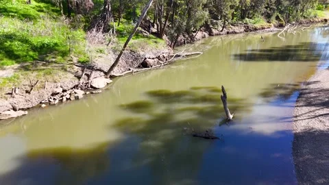 Aerial View of Winding Outback River and Eucalyptus Trees Stock Footage 340863477