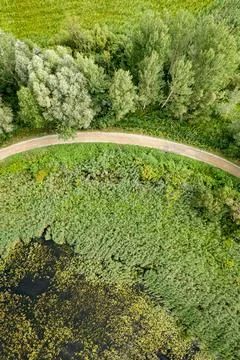 Aerial View of a Winding Path Through Wetlands and Forest Stock Photos