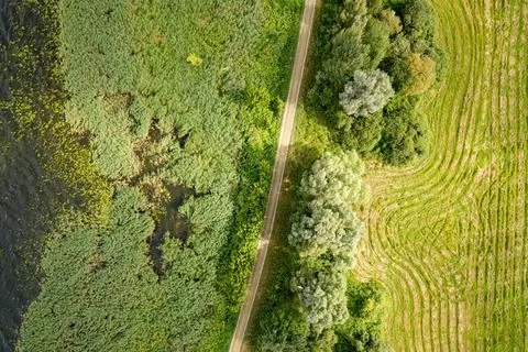 Aerial View of a Winding Path Through Wetlands and Forest Stock Photos