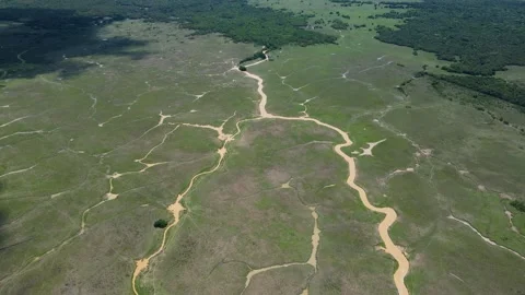 Aerial view of winding paths in green landscape Stock Footage 330516849
