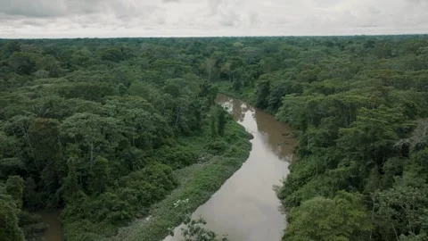 Aerial view of a winding river in the amazon rainforest Stock-Footage 340080233