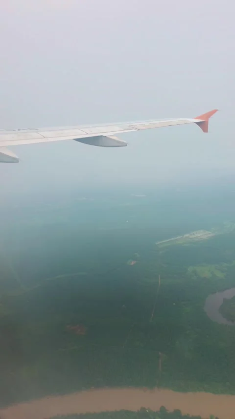 Aerial view of winding river and lush green forest from airplane window Video stock 333839092