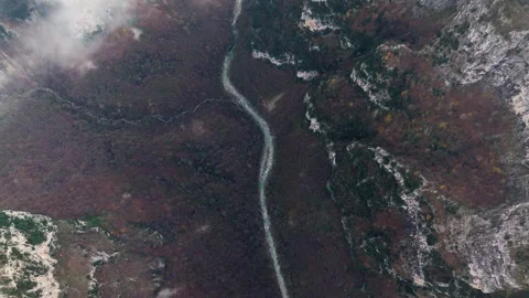 Aerial view of Winding River Cutting Through Vikos Gorge Forest, Epirus Stock Footage 331333645