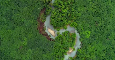 Aerial View of a Winding River Flowing Through Thick Kamchatka Forest Drone Shot Stock Footage 338262452