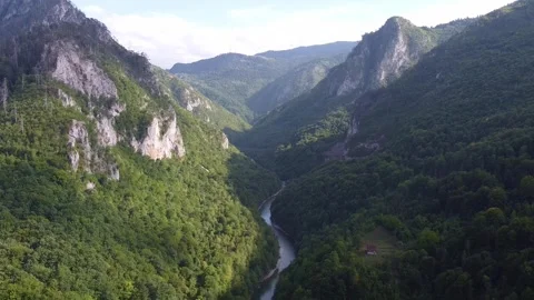 Aerial view of winding river flowing through forested mountain valley Video stock 342774753