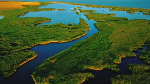 Aerial view of winding river flowing through green wetlands at sunset Stock Footage 345482771