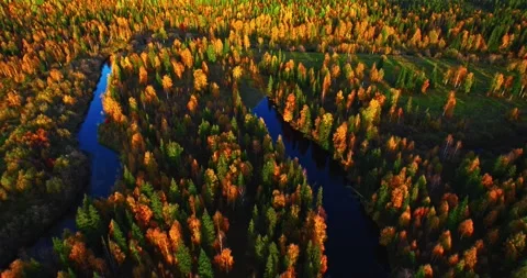 Aerial view of winding river flowing through colorful autumn forest with golden 스톡 동영상 346317459