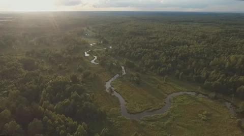 Aerial view of a winding river surrounded by green forest Stock Footage 67996291