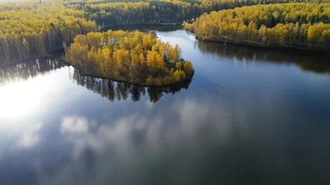 Aerial view of a winding river surrounded by vibrant autumn foliage Video stock 318485458