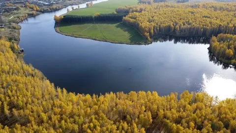 Aerial view of a winding river surrounded by vibrant autumn foliage Stock Footage 318485514