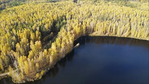 Aerial view of a winding river surrounded by vibrant autumn foliage Stock Footage 318610296