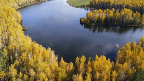 Aerial view of a winding river surrounded by vibrant autumn foliage Stock Footage 318610326