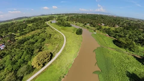 Aerial view of winding river surrounded by dense green forest 库存影片 339831048