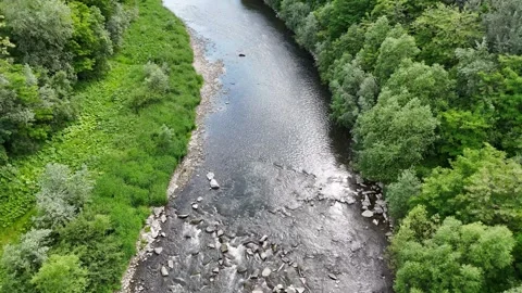 Aerial view of a winding river surrounded by lush green vegetation and rocky Видео 347786837