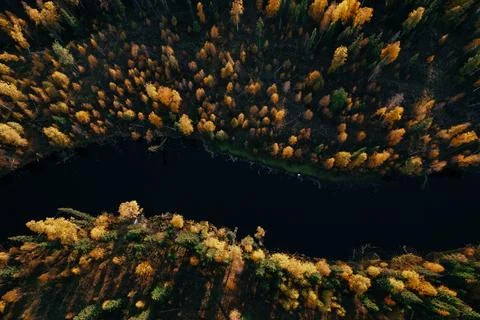 Aerial view of a winding river surrounded by vibrant autumn foliage in the far Stock Photos