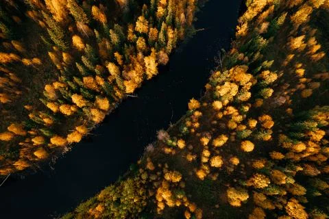 Aerial view of winding river surrounded by vibrant autumn foliage in the far Stock Photos
