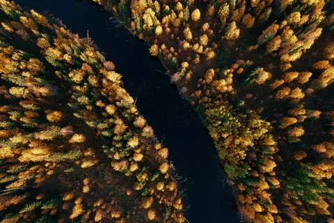 Aerial view of winding river surrounded by vibrant autumn foliage in the far Stock Photos