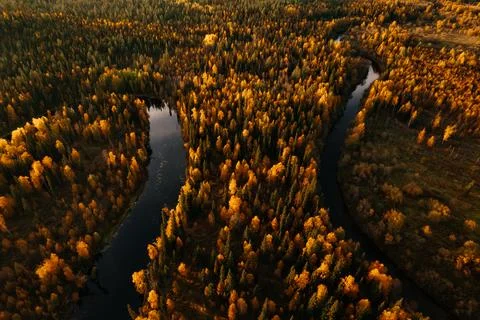 Aerial view of winding river surrounded by vibrant autumn foliage in the Komi Stock Photos