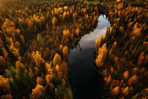 Aerial view of a winding river surrounded by vibrant autumn foliage in the far Stock Photos