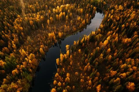 Aerial view of a winding river surrounded by vibrant autumn foliage in the far Stock Photos