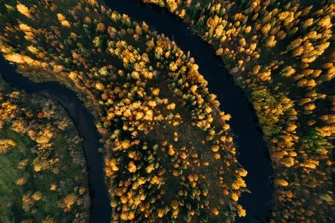 Aerial view of winding river surrounded by vibrant autumn foliage in the far Stock Photos
