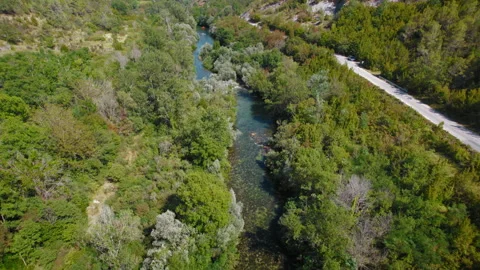 Aerial view of a winding river through a dense forest with a road parallel to it Stock Footage 278247192