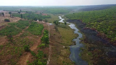 Aerial view of winding river through green landscape with trees and vegetation Stock Footage 307900212