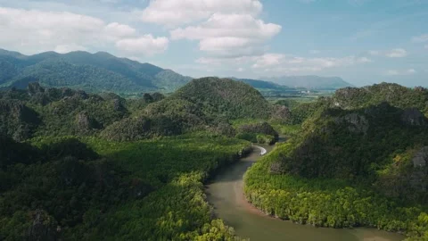 Aerial view of winding river through a mangrove forest surrounded by lush green Stock Footage 308459487