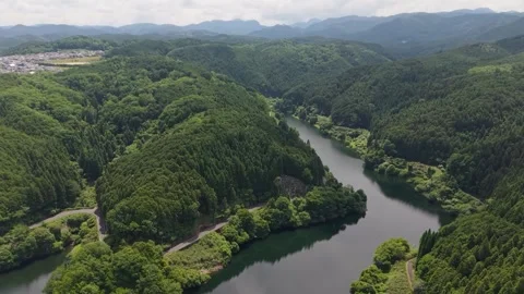 Aerial View of Winding River Through Lush Green Forested Mountains Stock-Footage 311278802