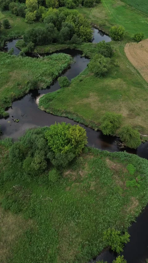 Aerial view of winding river through green landscape Stock Footage 331338180