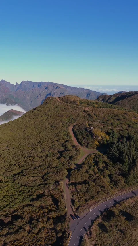 Aerial view of winding river through lush forest in Madeira mountains with sea o Stock Footage 333312754